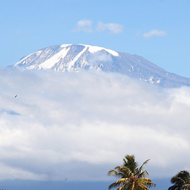 kilimanjaro